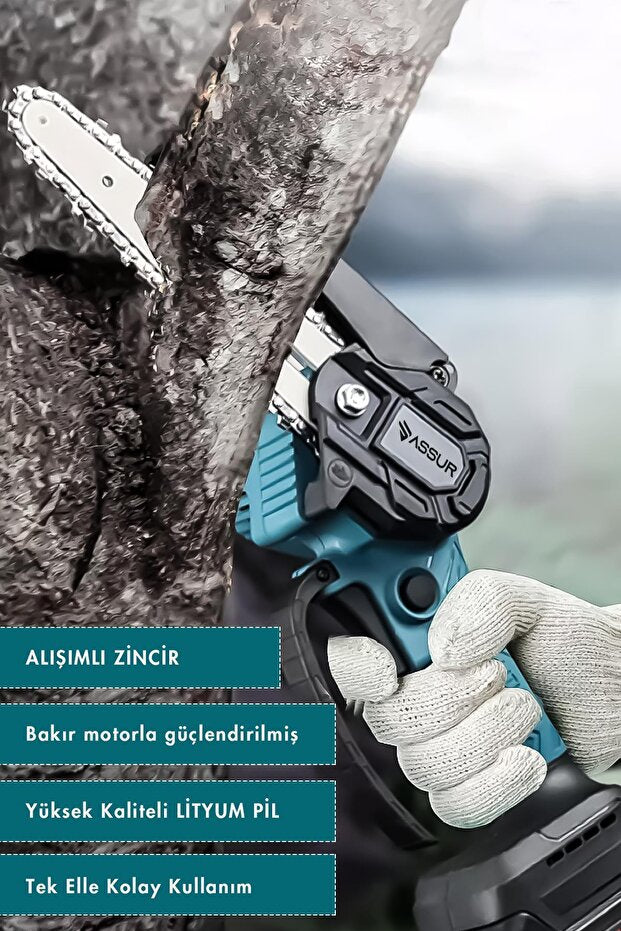 ASSUR 18V Metal Dişli Şarjlı Dal Budama Testeresi Seti